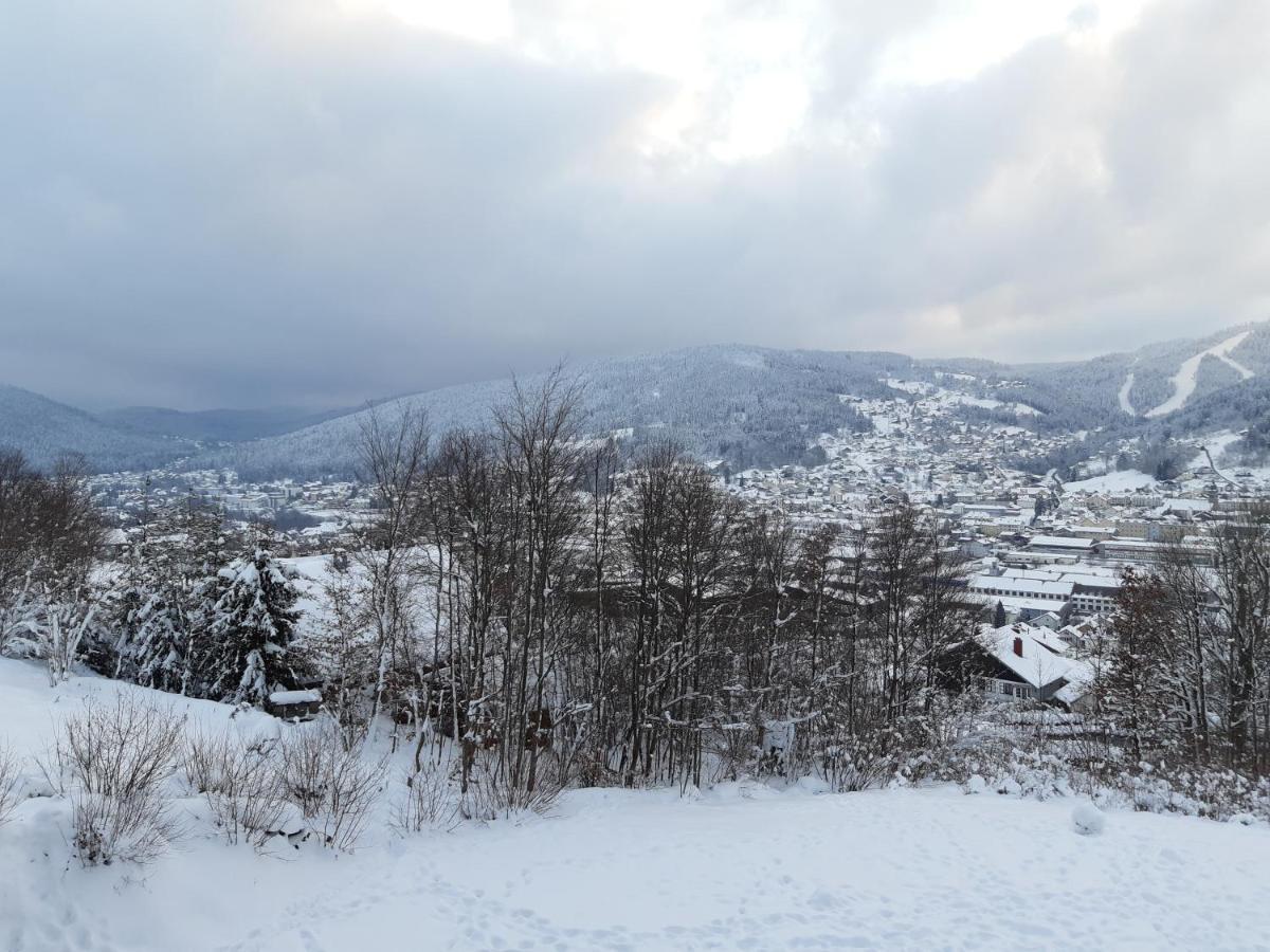 Studio Les Bleuets Gerardmer Exterior photo