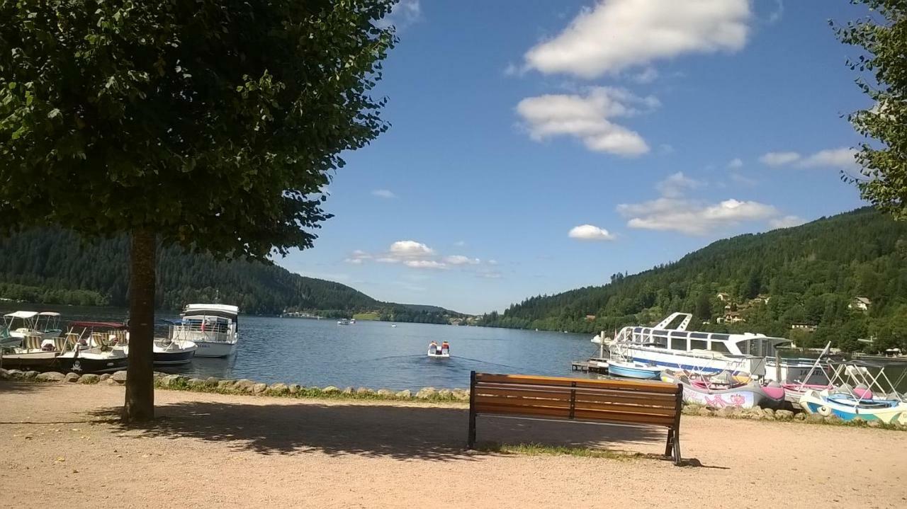 Studio Les Bleuets Gerardmer Exterior photo