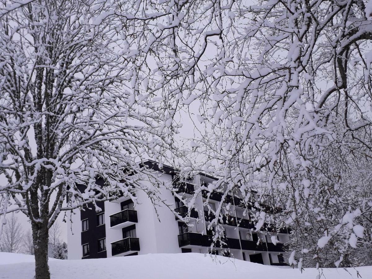 Studio Les Bleuets Gerardmer Exterior photo